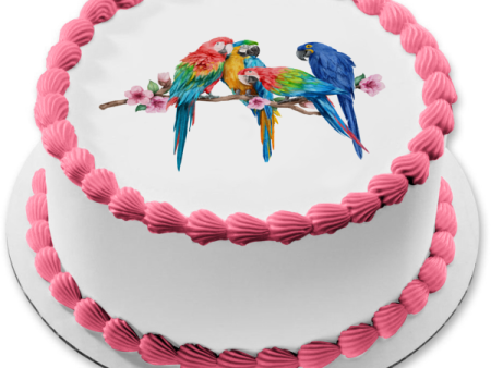 Macaw Parrots on a Branch Watercolor Edible Cake Topper Image ABPID56673 For Sale