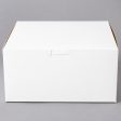 8  x 8  x 4  White Cake   Bakery Box For Discount